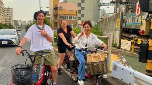 Tokyo : Tour nocturne en vélo électrique avec Tokyo Tower et spectacle de dauphins