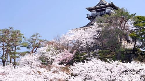 Fukui: Entradas para el Castillo de Maruoka - Excursiones de un día