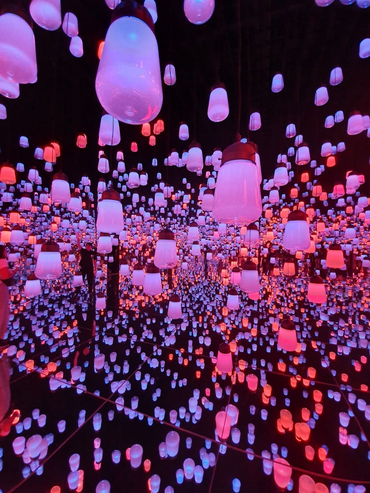 Tokyo Toyosu Market food tour with teamLab digital art experience (includes teamLab admission ticket) Day Tours