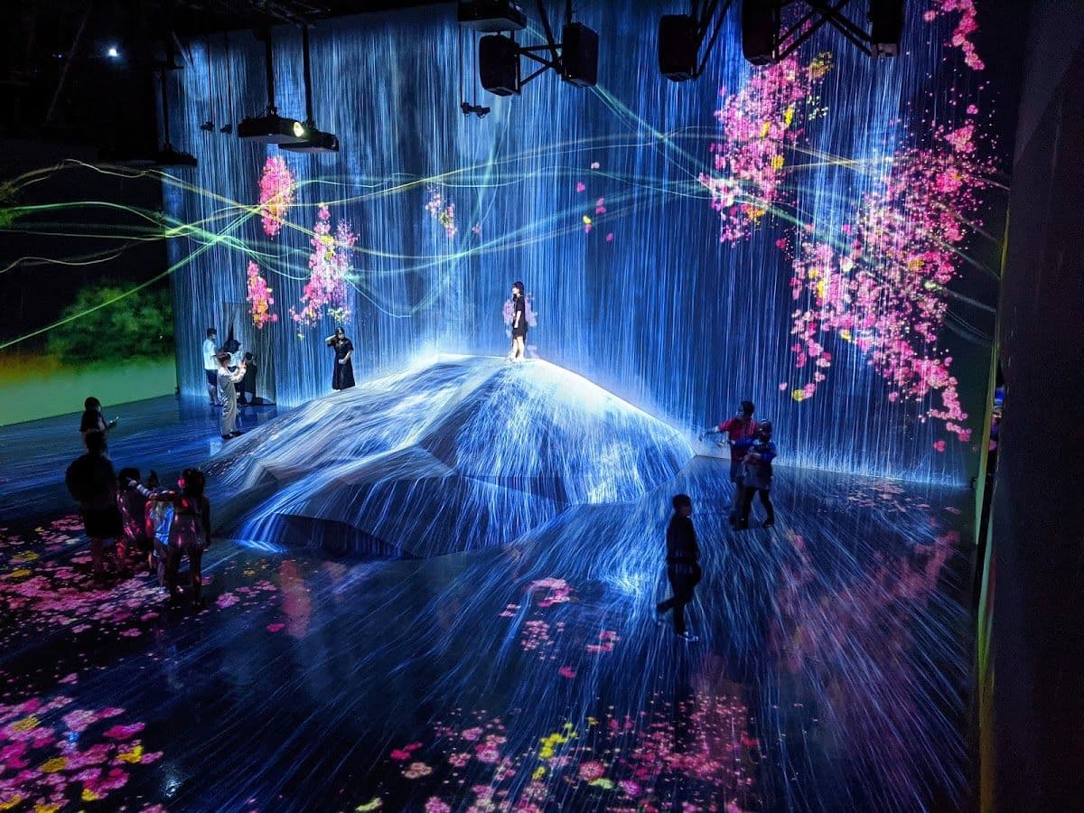 Tokyo Toyosu Market food tour with teamLab digital art experience (includes teamLab admission ticket) Day Tours