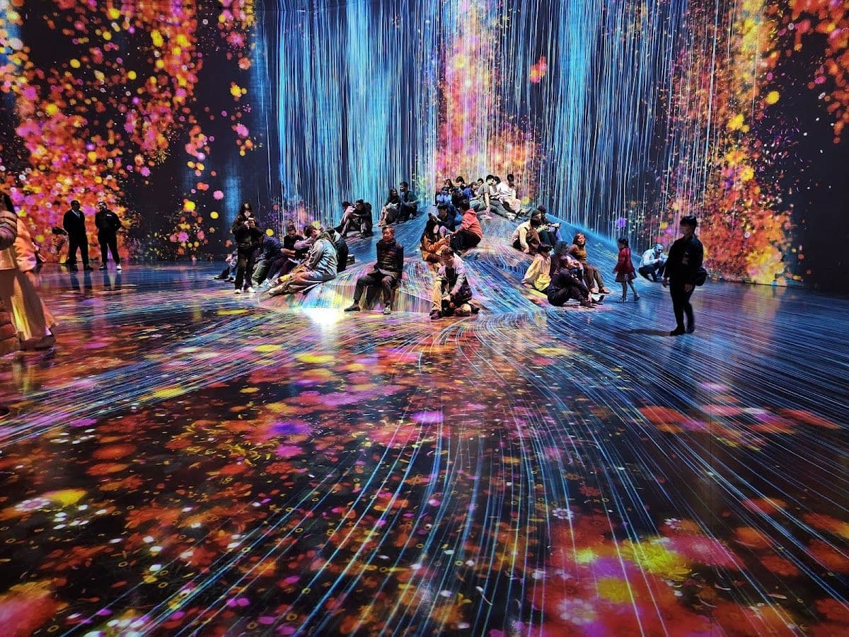 Tokyo Toyosu Market food tour with teamLab digital art experience (includes teamLab admission ticket) Day Tours