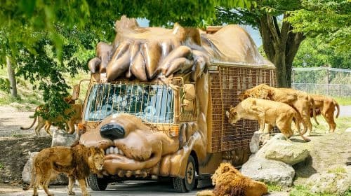 Fukuoka 1-day tour to Kyushu Wildlife Park African Safari, Mount Yufu, Yufuin & Umi Jigoku Day Tours