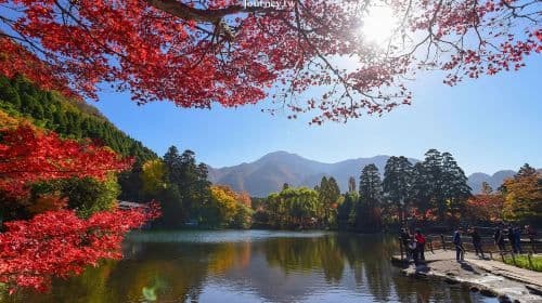 Fukuoka 1-day tour to Kyushu Wildlife Park African Safari, Mount Yufu, Yufuin & Umi Jigoku Day Tours