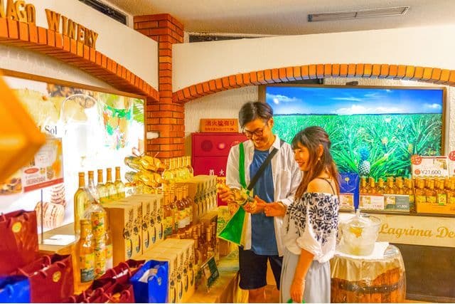 [沖繩] Nago Pineapple Park