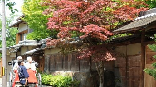 [Rickshaw Ebisu-ya] Passeio privativo de riquixá em Higashiyama, Quioto