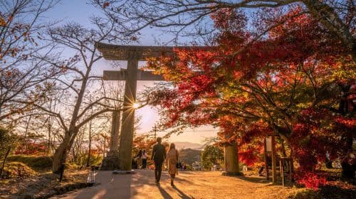 Fukuoka Seafood Market & Local Flavors Day Tour with Dazaifu (English/Korean Guide) Day Tours