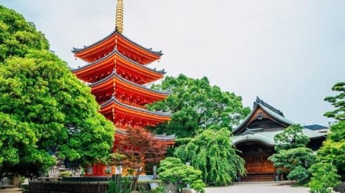 Fukuoka: Hakozaki Shrine, Tocho-ji Temple, & Ohori Park Tour Day Tours