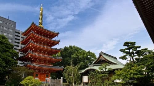 Fukuoka: Hakozaki Shrine, Tocho-ji Temple, & Ohori Park Tour Day Tours