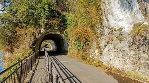 Fukuoka: Excursión de un día a Kyushu en otoño, Yabakei y el puente Kokonoe Yume