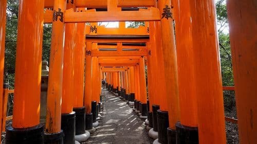 Fushimi Inari Hidden Hiking Tour (Private Option Available) Day Tours