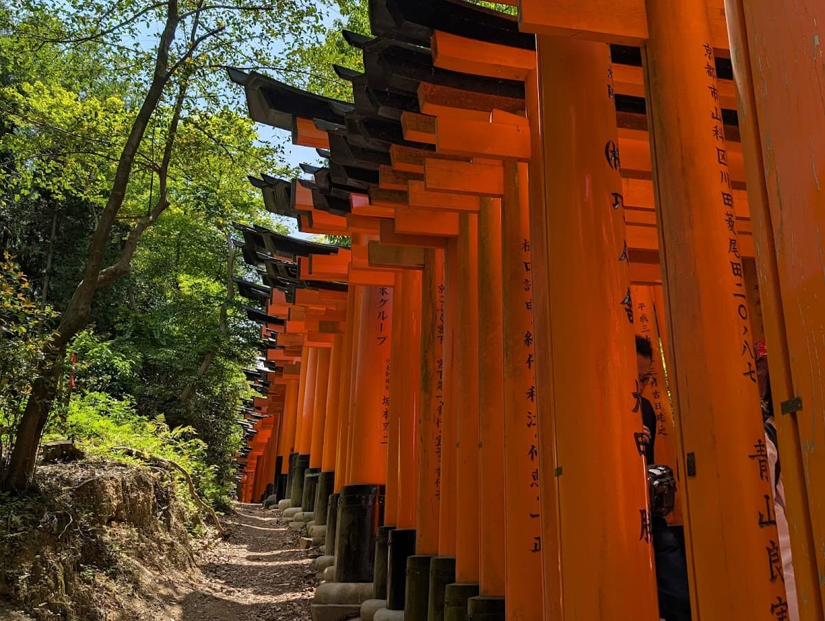Fushimi Inari Taisha Day Tours