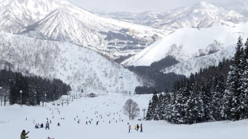 GALA Yuzawa Snow Resort: Biglietto giornaliero per telecabina e seggiovia