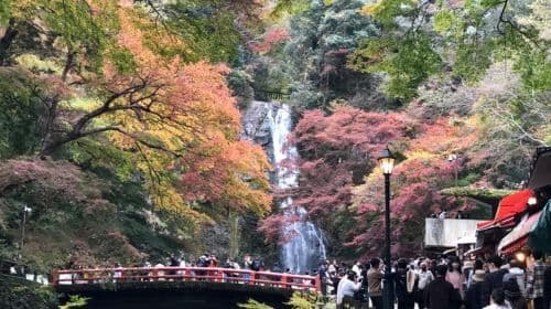 Conheça Minoo saindo de Osaka. Passeios de um dia ao Templo Katsuoji, Cachoeira Ryuanji e Templo Ryuanji