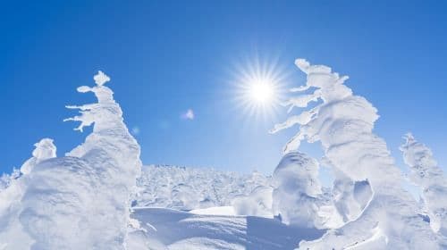 Ginzan Onsen and Zao Fox Village 1-day tour from Sendai Day Tours