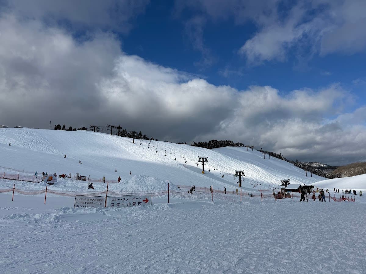 Hakodateyama Ski Resort one-day tour from Osaka