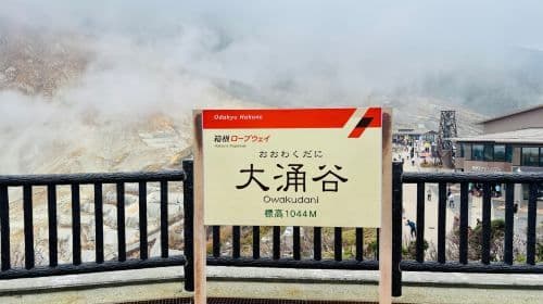 Hakone & Kamakura Enoshima 1-day tour: Lake Ashi Pirate Ship, Owakudani cable car, and Enoshima Day Tours