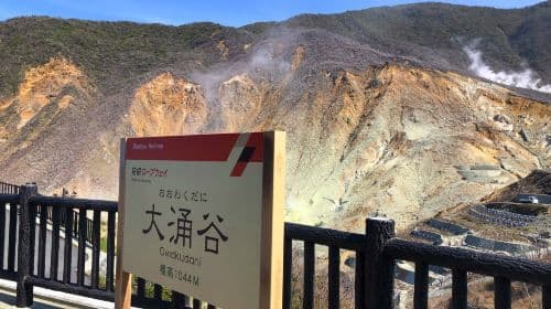 Hakone and Kamakura dual destination tour|Lake Ashi pirate ship + Owakudani cable car + Enoshima day tour Day Tours