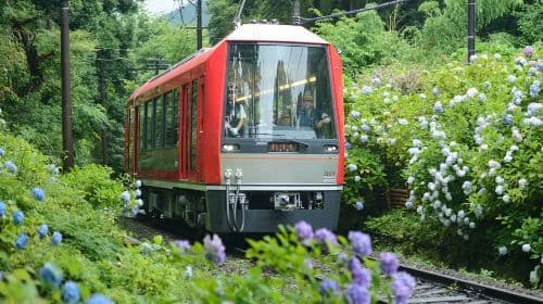 Hakone en Kamakura: 3-daagse Rail Pass dagtochten