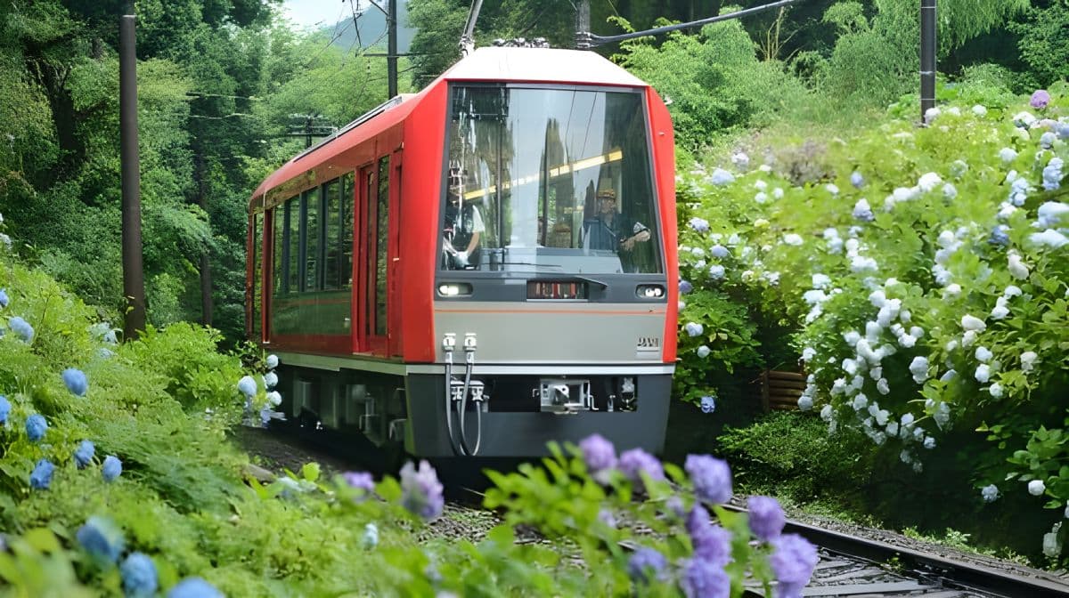 Hakone et Kamakura : Pass ferroviaire de 3 jours pour visites guidées