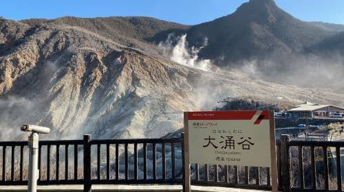 Hakone en Kamakura: 3-daagse Rail Pass dagtochten