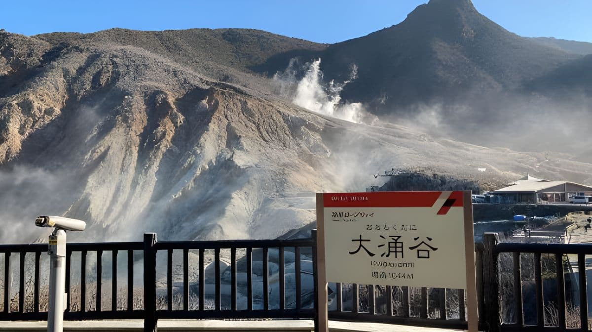 Hakone et Kamakura : Pass ferroviaire de 3 jours pour visites guidées