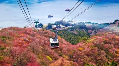 Hakone Owakudani and Lake Yamanaka Day Tour, Free Hakone Ropeway, Optional 9-Person Small Group Transfer