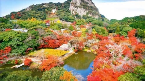 Tour giornaliero limitato del foliage autunnale nel Kyushu: Dazaifu, Kunean Temple, Mifuneyama Rakuen, Yutoku Inari Shrine