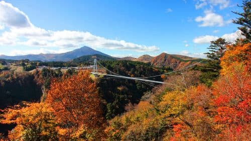 Kyushu Autumn Special: Aonodomon Yabakei Gorge, Hitome Hakkei, Kokonoe Yume Bridge & Dazaifu One Day Tour (From Fukuoka) Day Tours
