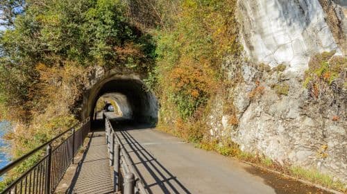 Kyushu Autumn Special: Aonodomon Yabakei Gorge, Hitome Hakkei, Kokonoe Yume Bridge & Dazaifu One Day Tour (From Fukuoka) Day Tours