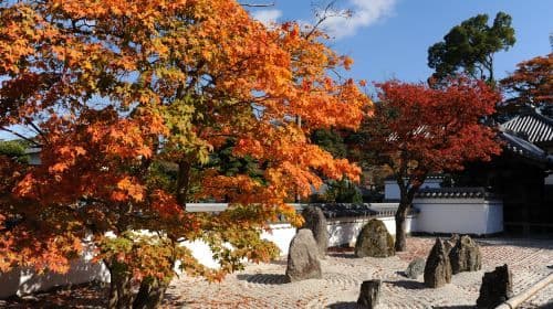 Kyushu Autumn Special: Aonodomon Yabakei Gorge, Hitome Hakkei, Kokonoe Yume Bridge & Dazaifu One Day Tour (From Fukuoka) Day Tours