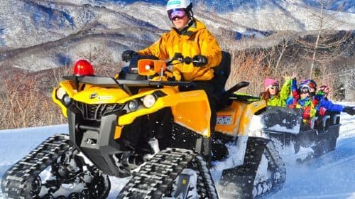 Hakuba Iwatake Mountain Resort & Snow Field