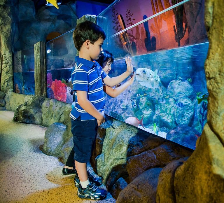 Oberhausen: Entrada para LEGOLAND Discovery Centre y SEA LIFE