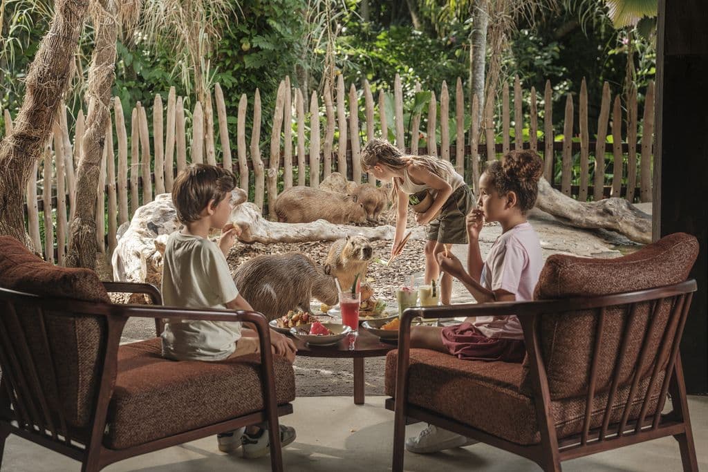 Bali Zoo voor houders van een Indonesisch ID/KITAS
