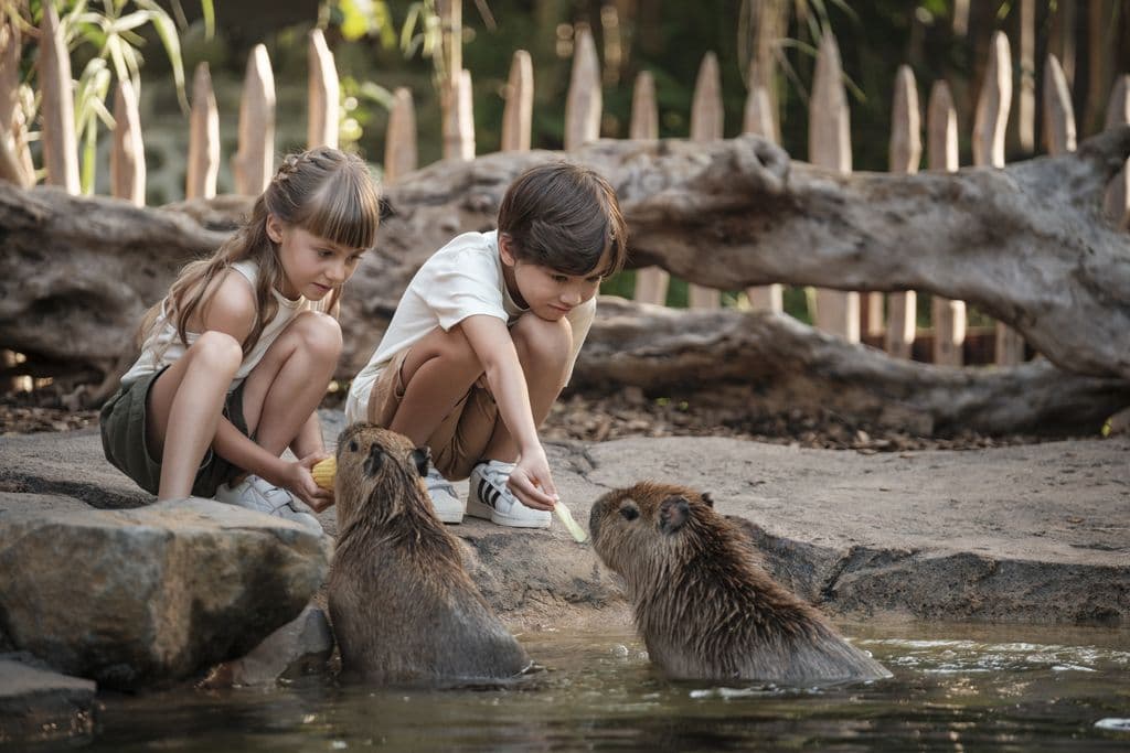 Bali Zoo voor houders van een Indonesisch ID/KITAS