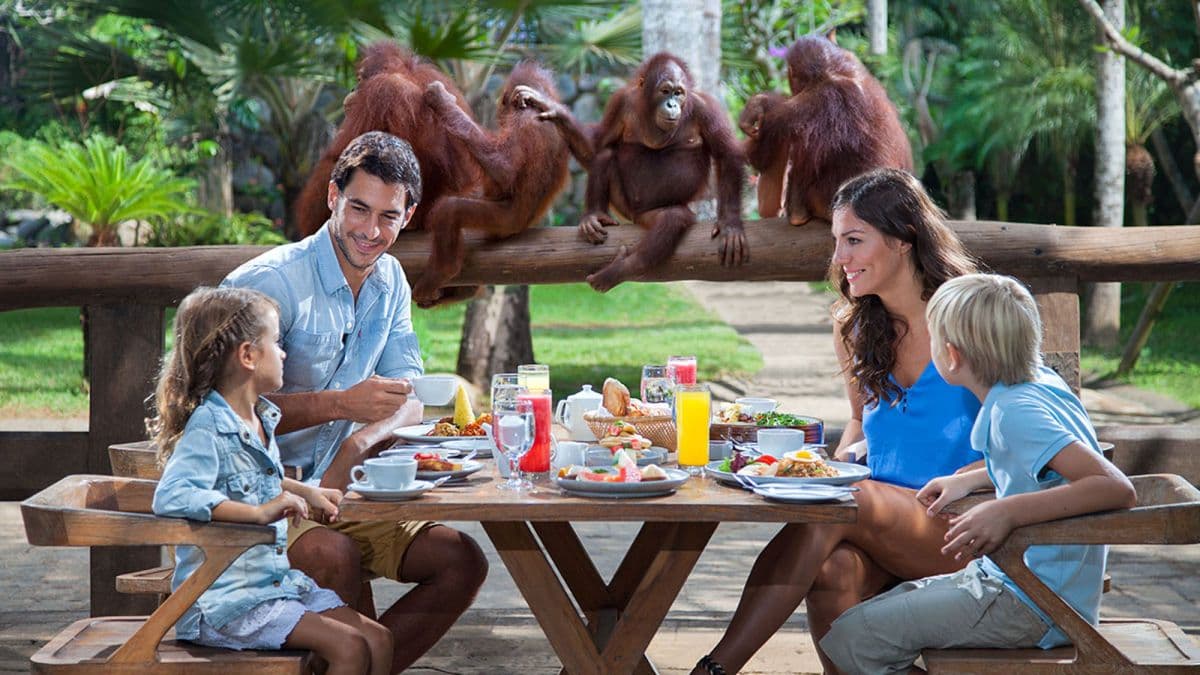 Bali Zoo pour les détenteurs de pièces d'identité non indonésiennes