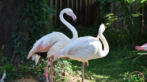 Hsinchu Zoo