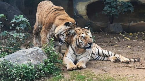 Hsinchu Zoo