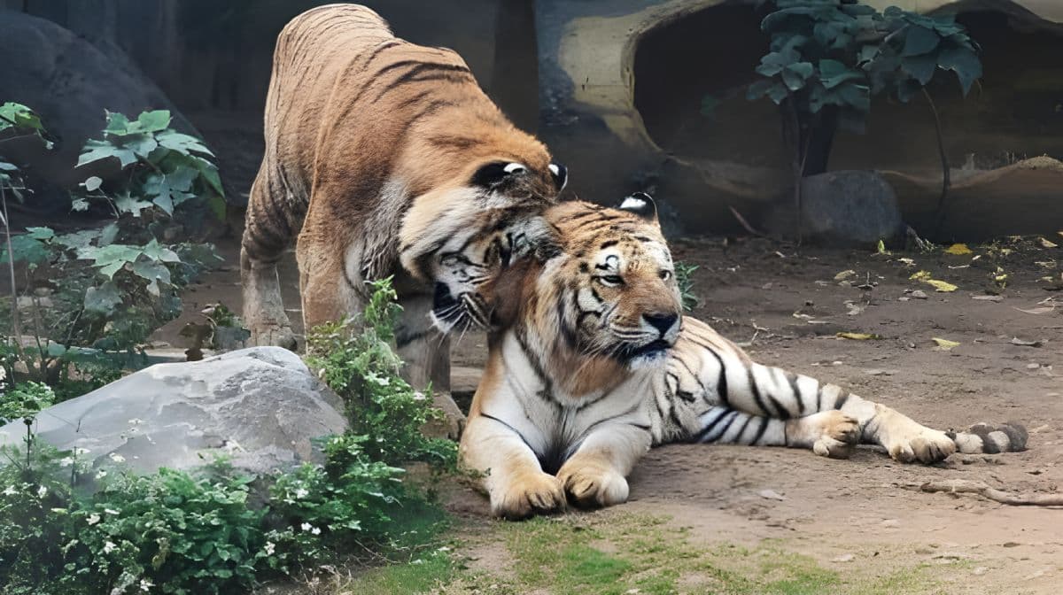 Hsinchu Zoo