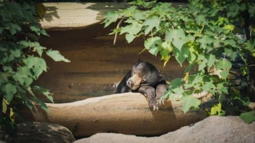 Hsinchu Zoo