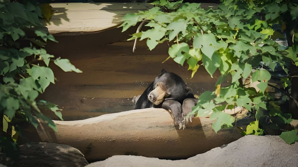 Hsinchu Zoo
