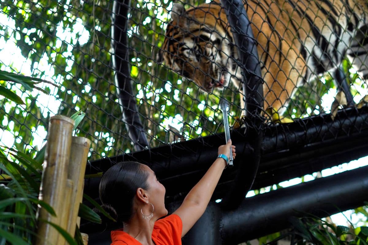 Behind Closed Door by Bali Zoo