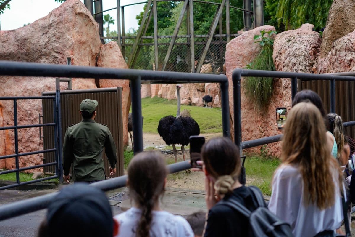 Behind Closed Door by Bali Zoo