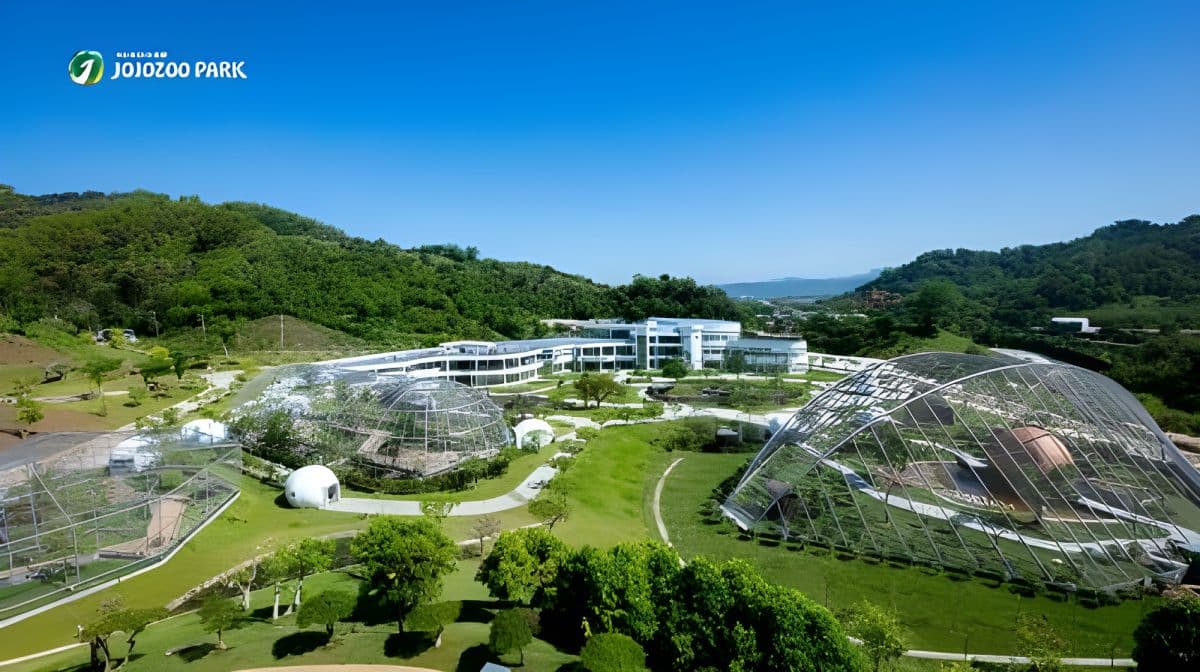 JOJOZOO PARK