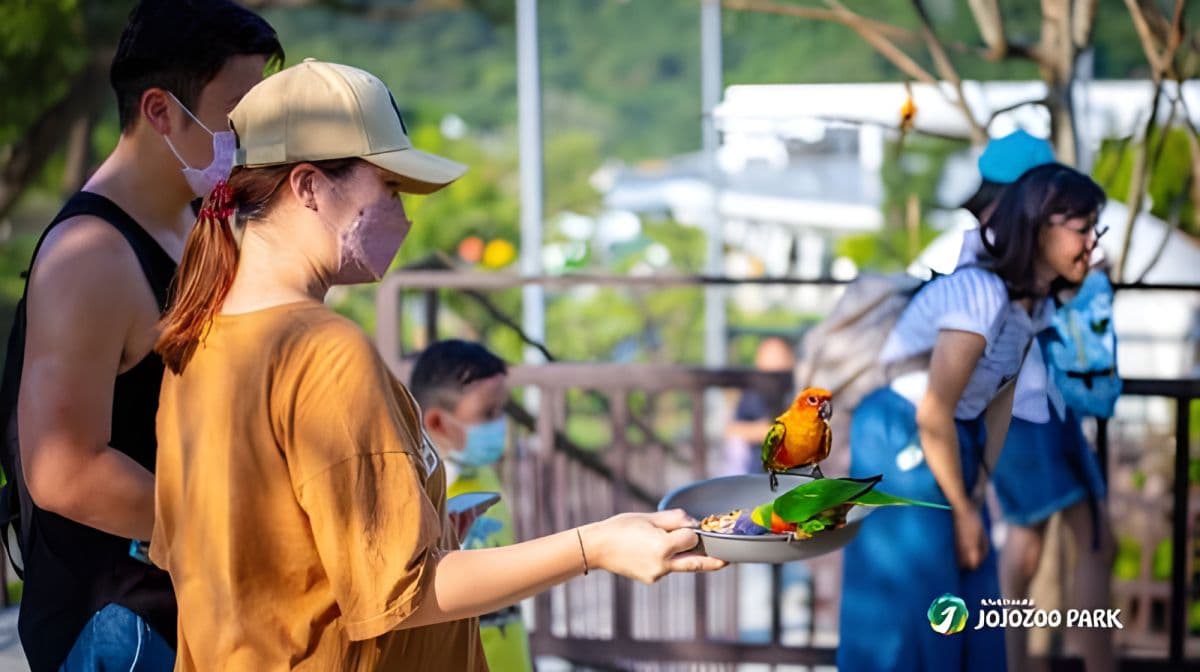 JOJOZOO PARK