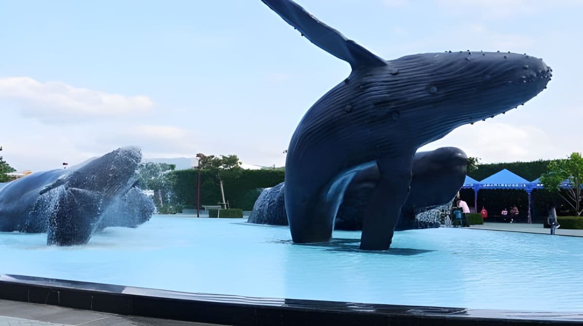 Marine Biology & Aquarium + Eluanbi Park + shared transportation one-day tour[Depart from Kaohsiung] Day Tours