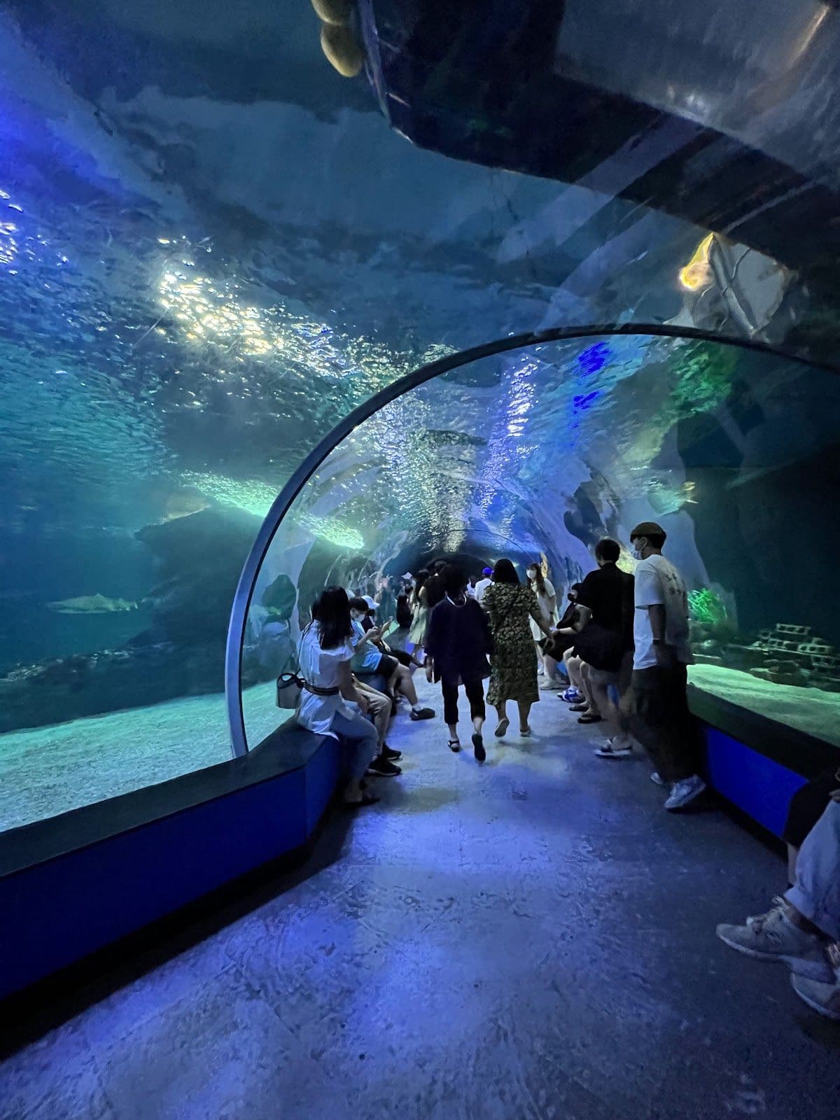 Sea Life Busan