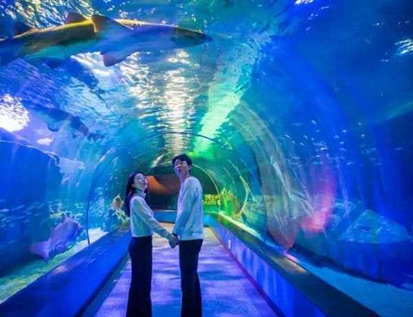 SEA LIFE Busan