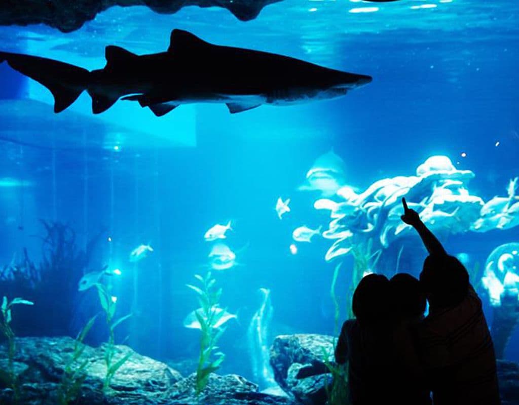 Sea Life Busan
