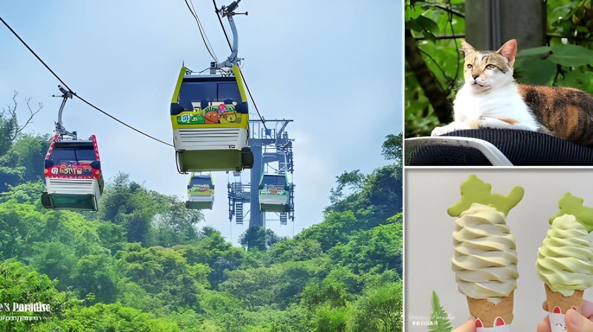 Enlightening and fun trio - Maokong Gondola + Taipei Zoo + National Museum of Marine Science and Technology 1-day tour Day Tours