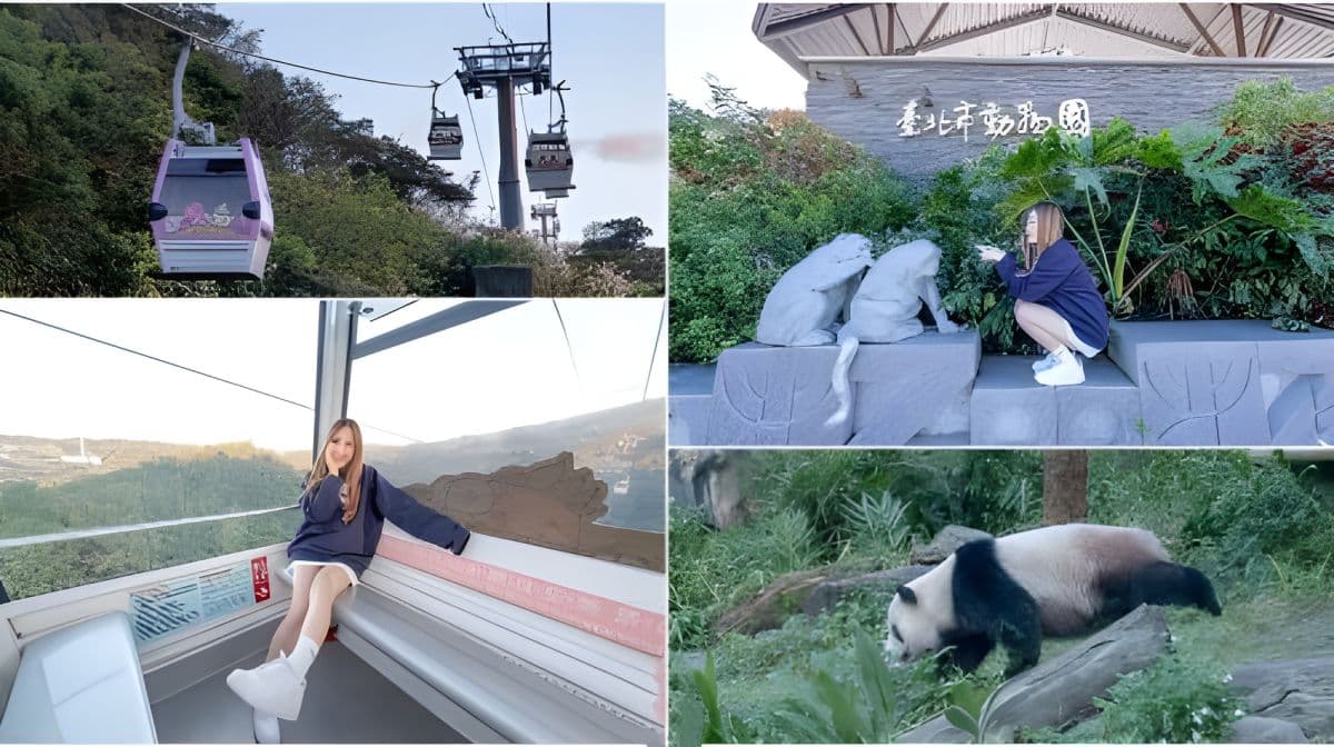 Enlightening and fun trio - Maokong Gondola + Taipei Zoo + National Museum of Marine Science and Technology 1-day tour Day Tours